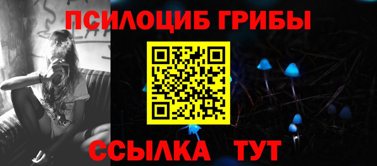 Псилоцибиновые грибы мицелий Асино